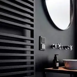 Black bathroom walls with white shower