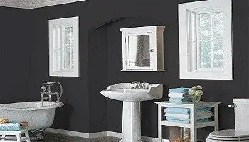 Black-Bathrooms-Kimberly Painting - Marietta, GA