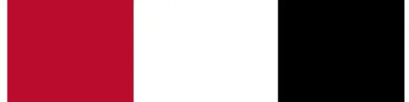 Georgia Bulldogs Team Colors