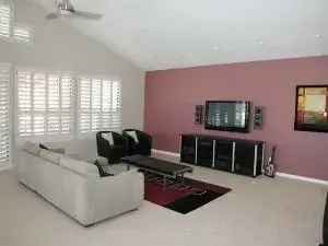 Interior Painting Color Schemes - Cumming, GA - Living Room Accent Wall Mauve